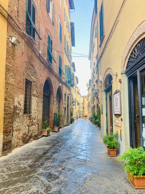 Lucca italy europe street view summer vacation holiday walks Europe Street, Lucca Italy, Italy Trip, Lucca, Italy Travel, Summer Vacation, Street View, Italy, Tattoos