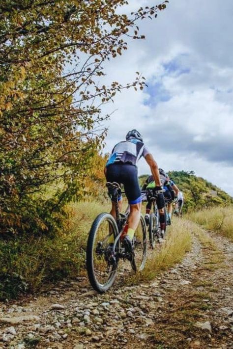 It’s time to saddle up and get ready to go wild on your next adventure! It takes a little practice, skill, and the right knowledge, you will enjoy the challenge of cycling uphill. Cycling Uphill, Muscle Power, Hill Climb, Leg Muscles, Go Wild, The Challenge, Saddle, Cycling, Bicycle