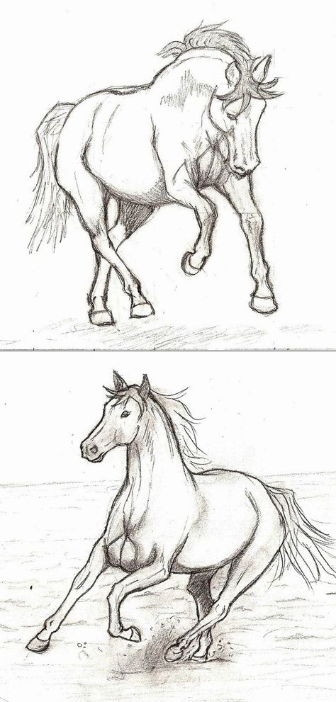 Drawing Ideas Horse Sketch, Drawing Horses Sketches, Horses To Draw, How To Draw Horse, Drawing Ideas Horse, Horse Drawing Simple, Horse Painting Ideas, How To Draw A Horse, Sketches Of Horses