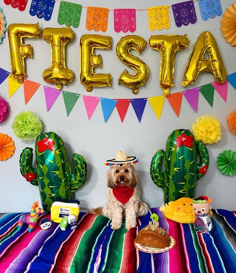 My Cavapoo pups birthday is on Cinco de Mayo & im obsessed with tacos so I geel obligated to go all out for her birthday Dog Fiesta Party, Fiesta Dog Party, Mexican Dog Party, Dog Party Food, Cinco Party, Dog Birthday Photoshoot, Dog Party Games, Dog Party Invitations, Taco Cake