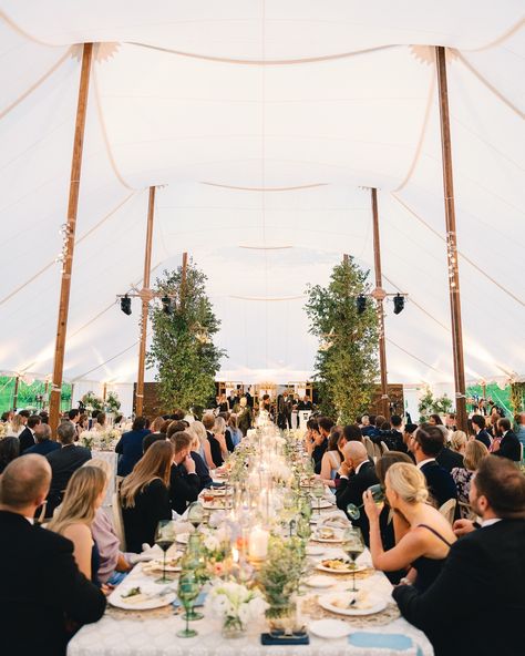 There’s something truly special about saying ‘I do’ surrounded by nature’s breathtaking beauty, especially with the stunning lupines in bloom. An open-air tent allowed for the celebration to continue among the divine natural setting of @beanoscabin's meadow. It was an iconic moment, being the first wedding in the Meadow at Beano's Cabin. Besides the beautiful couple, the showstopper was undoubtedly the custom-built sailcloth tent with poles dressed by branches to emulate trees for a true ind... Candlelit Tables, Elegant Outdoor Wedding Reception, Sailcloth Tent Wedding, Draped Tent, Candlelit Table, Elegant Outdoor Wedding, Air Tent, Outdoor Wedding Reception, Sophisticated Wedding