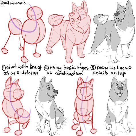 Mitch Leeuwe on Instagram: “Made this dog tutorial, to show the steps with construction. Planning to do some animal tutorials when the character design book is…” Construction Planning, Dog Tutorial, Mitch Leeuwe, Dog Anatomy, Anatomy Tutorial, Character Design Girl, Dog Sketch, 인물 드로잉, Poses References