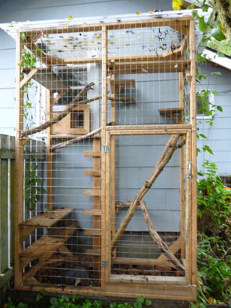 Katt Diy, Katt Grejer, Kat Diy, Cat Area, Cat Fence, Cat Patio, Outdoor Cat Enclosure, Cat Run, Cat Playground