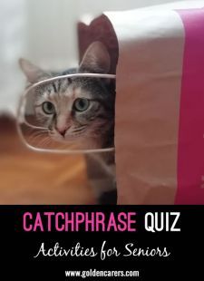 Catchphrase Visual Quiz: This is a great game. Just say what you see in the pictures and guess the catchphrase. This is a PowerPoint presentation. Catch Phrase, Free Activities, Activity Games, Say What, What You See, Powerpoint Presentation, How To Become, Presentation, The Past