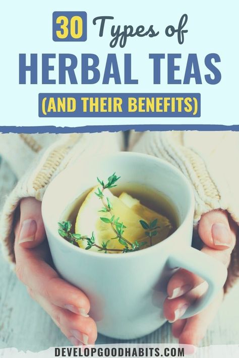 Teas And Their Benefits, Tea Benefits Chart, Tea Blends Recipes, Herbal Tea Garden, Lemonade Diet, Herbal Tea Benefits, Best Herbal Tea, Medicinal Tea, Healing Tea