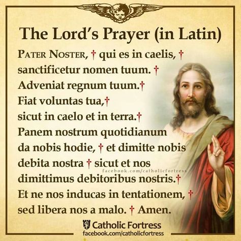 Catholic Saints Prayers, Catholic Prayers Daily, Catholic Theology, Catholic Beliefs, Latin Quotes, Saint Quotes Catholic, The Lord's Prayer, Miracle Prayer, Lord's Prayer