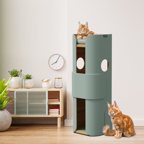 Nz House, Pet Projects, Cat Cafe, Cat Tower, Cat Scratcher, Animal Projects, Scratching Post, Cat Stuff, Cat Tree