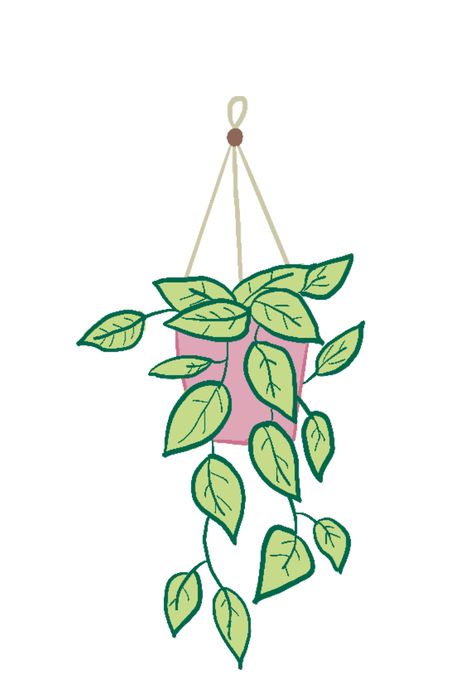 This is in the process of being turned into a sticker Hanging Plant Drawing Simple, Hanging Plants Drawing Doodles, Hanging Plant Illustration, Plant Pot Drawing, Hanging Plant Drawing, Plant Illustration Simple, Potted Plant Drawing, Animated Plants, House Plant Drawing