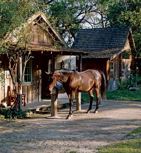 American Stables Cattle Farm, Rodeo Cowboys, California Ranch, Anjelica Huston, Cowboy Horse, Country Kids, Country Lifestyle, Horse Ranch, Central Valley