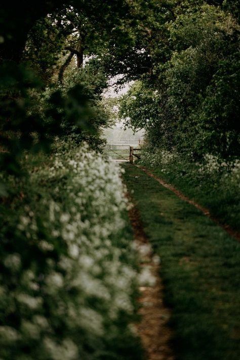 Philippa Craddock, Spring Aesthetic, Garden Cottage, English Countryside, Nature Aesthetic, Pretty Places, Mulch, Green Aesthetic, Country Life