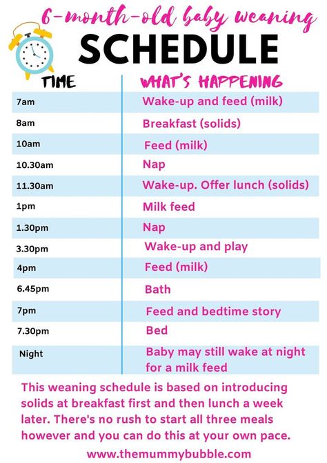 A simple daily schedule for a six-month-old baby who is weaning. A sleep, feeding and play schedule to help you introduce solids to your baby and adjust their daytime milk feeds #babyroutine #babyschedule #sahmroutine #dailyroutine #weaningtips #babytips Sample Newborn Schedule, Newborn Care First Week, Sleep Schedule For Baby, Baby Solid Food Schedule, Baby Food Schedule, Baby Solid Food, Baby Trivia, 4 Month Old Baby, Newborn Sleep Schedule