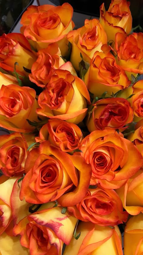 Orange Roses Bouquet Aesthetic, Orange Roses Aesthetic, Orange Roses Wallpaper, Orange Flowers Aesthetic, Orange Roses Bouquet, Yellow Orange Roses, Orange Rose Bouquet, Feel Healthy, Love Work