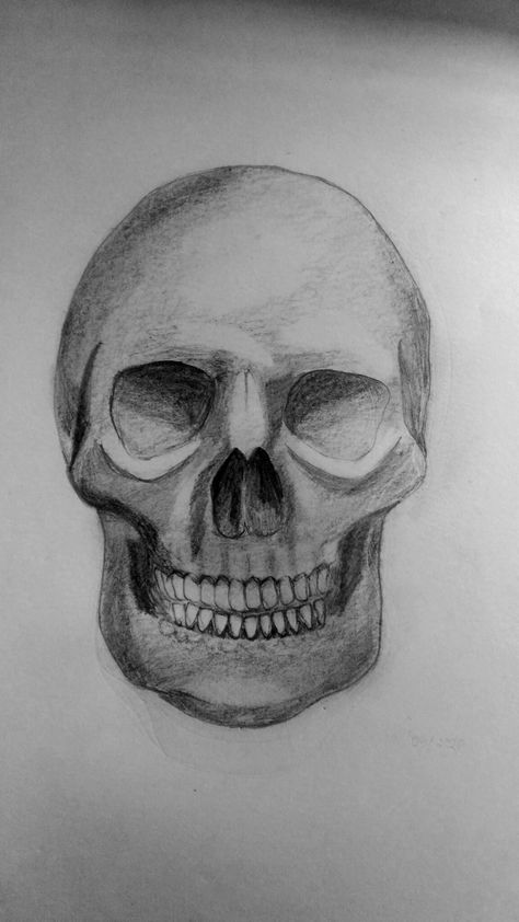 Skull Pencil Drawings, Charcole Drawings, Skull Drawings, Animal Sketch, Skeleton Drawings, Work Sheet, Skulls Drawing, Sketch Ideas, Sketchbook Art