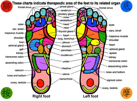 Print Your Own Foot Massage Chart. These charts indicate therapeutic area of the feet to its related organs. By stimulating one or a combination of areas, you will in turn be massaging the corresponding body muscles and organs.  Foot massages are a simple and effective way to better health. According to Chinese Medicine, the foot is, Foot Massage Chart, Chinese Medicinal Herbs, Ear Reflexology, Reflexology Foot Chart, Foot Reflexology Massage, What Is Human, Reflexology Chart, Reflexology Massage, Foot Reflexology