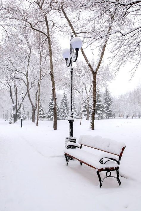 Park Benches, Snow Images, Ski Club, Winter Szenen, Winter Images, I Love Winter, Seasons Winter, Snowy Winter, Winter Scenery