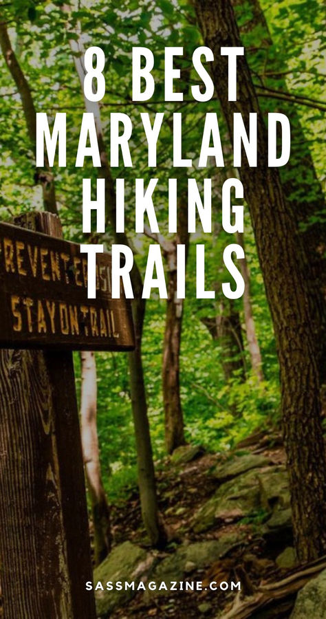 Whether you’re an avid hiker or a beginner, Maryland has a trail for you. No matter the difficulty, hiking is a surefire way to improve your wellbeing, as it promotes mental clarity, connection to the environment, and overall fitness. So, grab your hiking boots and get ready to discover the best hikes Maryland has to offer. Adventure awaits! Maryland Day Trips, Hiking Places, Outfit For Travel, Fall Hiking, Best Hikes, Mental Clarity, Travel Goals, Travel Advice, New Adventures