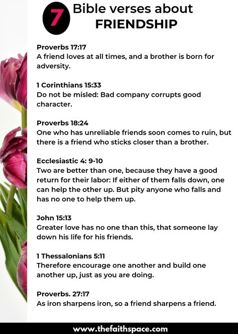 Verses On Friendship Scriptures, God Given Friends Quotes, Finding Christian Friends, Scripture About Fellowship, Bible Verse Friendship Quotes, Shared Notebook With Friends, Bible Verses About Losing Friendships, What God Says About Friendships, Friendship Quotes From Bible