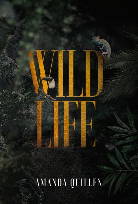 My first book. "Wildlife." was released earlier this year. I worked on it for almost 12 years and I am hoping to generate some sales. Hotel Ads, Graphic Design Inspiration, Art Reference, Graphic Art, This Year, Design Inspiration, Graphic Design, Free Shipping, Books