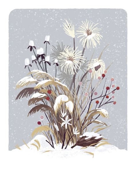 Chris Turnham Plants Illustration, Winter Drawings, Art Mignon, Winter Illustration, Winter Plants, Trendy Flowers, Art Et Illustration, Winter Flowers, Plant Illustration