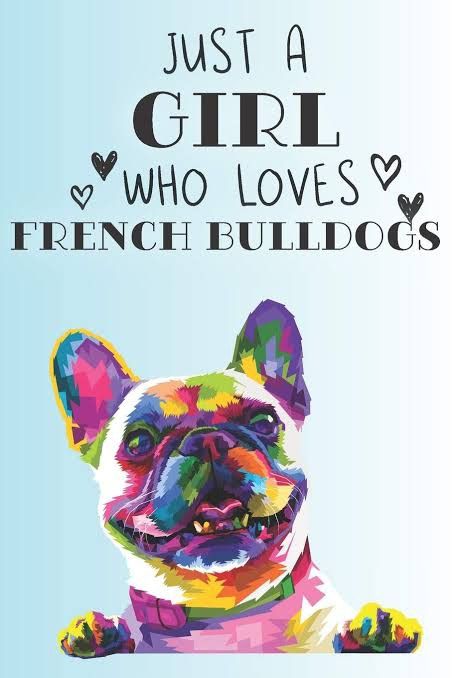 Puppies Quotes, French Bulldog Quotes, Bulldog Quotes, Bull Dogs, Love French, Cute Pets, French Bull, Dog Cute, French Bulldog Puppies