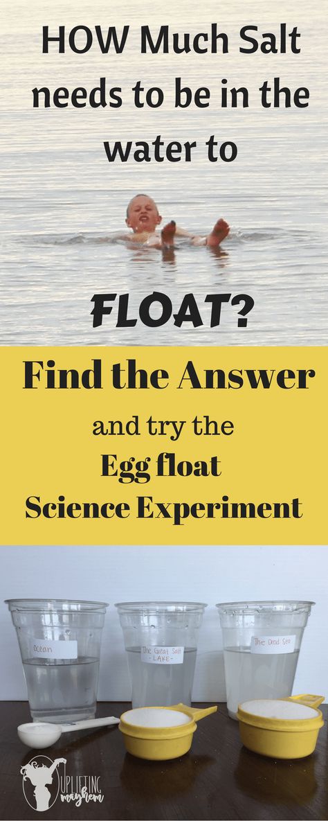 HOW SALTY OF WATER WILL YOU FLOAT-- Vetenskapliga Experiment, Science Camp, Science Club, Stem Challenge, Kid Experiments, Fair Projects, Cool Science Experiments, Science Fair Projects, Preschool Science