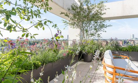 A terrace with a view: Holland Green Place, London - Stefano Marinaz Landscape ArchitectureStefano Marinaz Landscape Architecture Rooftop Planters, Outdoor Living Space Design, Roof Garden Design, Fiberglass Planters, Rooftop Lounge, Balcony Plants, Terrace Design, Rooftop Garden, Balcony Design