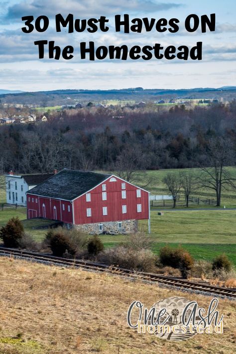 Nourishing Traditions, In A Rut, Homesteading Skills, Urban Homesteading, Living Off The Land, The Homestead, Types Of Animals, Farm Gardens, Must Have Items