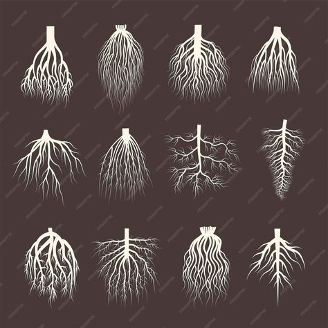 Premium Vector | Root system wooden roots from tree botanical plants symbols creep forest recent vector illustrations collection Root System Tattoo, Roots Typography, Forest Theme Tattoo, Fruit Tree Illustration, Tree Root System, Root Tattoo, Flower Roots, Plant Character, Roots Illustration