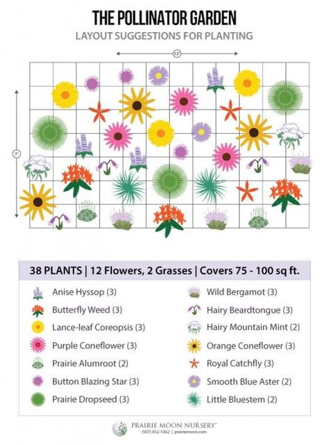 Pollinator Garden Layout, Garden Along Fence, Planting Layout, Greenhouse Base, Patio Edging, Plant Cells, Plant Tray, Moon Nursery, Crabapple Tree