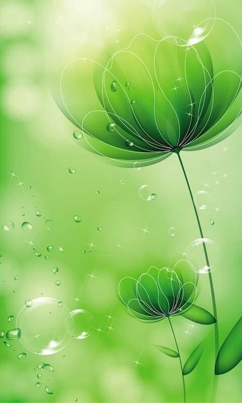 Green Flowers Beautiful Wallpapers Backgrounds Nature Green, Nature Green Wallpaper, Green Flowers Background, Green Flowers Wallpaper, Green Flower Background, Image Zen, Qhd Wallpaper, Best Nature Wallpapers, Flowery Wallpaper