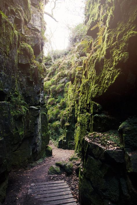 Peak District Best Walks with Kids: Lud's Church. Discover one of Britain's most spectacular and accessible walks: the magical Lud's Church. Lud's Church, Peak District England, Peak District National Park, Cheap Flight Tickets, Fairy Queen, Cheap Flight, Flight Tickets, Peak District, English Countryside