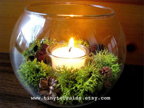 Terrarium With Candles, Lichen Terrarium, Moss Candle, Dinner Centerpieces, Christmas Flower Decorations, Backyard Wedding Ceremony, Clay Christmas Decorations, Christmas Wallpaper Backgrounds, Winter Flowers