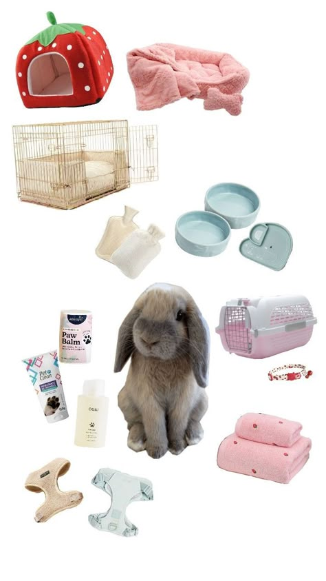 Rabbit Pen Ideas, Bunny House Ideas, Homemade Rabbit Treats, Pet Bunny House, Playpen Ideas, Bunny Sheds, How To Bun, Bunny Setup, Diy Bunny Cage