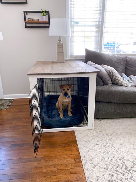 Small Dog Home Ideas, Dog Kennel Side Table Diy, Dogs Crate Ideas, Dog Side Table, Dog Kennel Side Table, Dog Crate Side Table Diy, Side Table Dog Crate, Dog Crate Ideas Decor, Dog Crate In Living Room