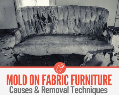 Mold Removal From Fabric, How To Remove Mildew From Outdoor Fabric, Mold Remover Fabric, How To Get Mold Out Of Fabric, How To Remove Mold From Fabric, How To Remove Mildew From Fabric, Mildew Remover For Fabric, Remove Mould From Fabric, Remove Mold Stains