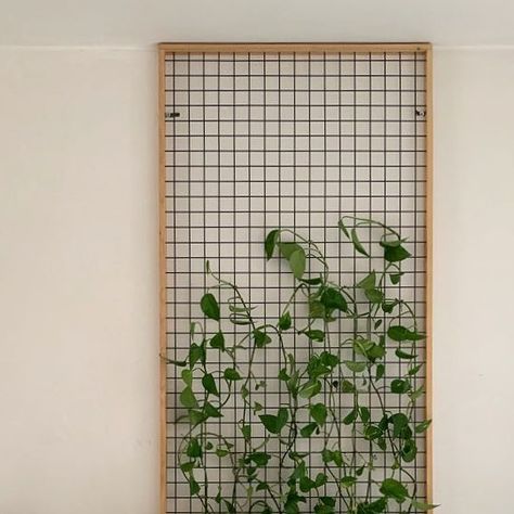 23 Creative & Modern Indoor Plant Wall Decor Ideas Plant Divider Wall Indoor, Plant Grid Wall, Large House Plants, Home Decor With Plants, Indoor Climbing Plants, Decor With Plants, Indoor Plant Trellis, Tall Indoor Plants, Plant Cages