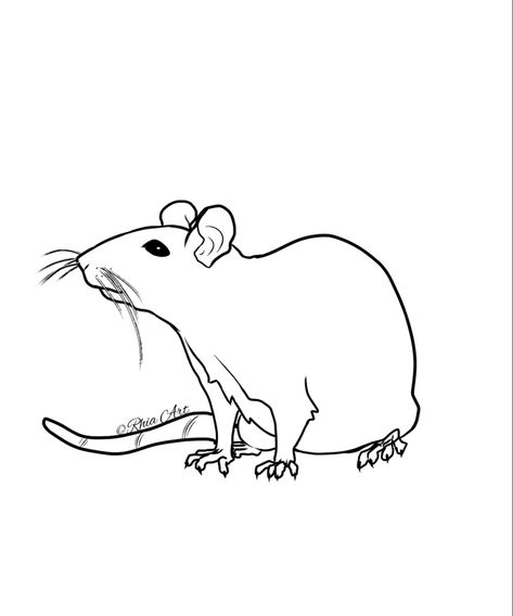 Rat Coloring Pages, Rats, Coloring Page, Coloring Pages, Color, Art, Colouring Pages