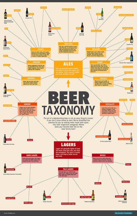 Everything you need to know about beer, in one chart #beer #beereducation  Read more: http://www.businessinsider.com/everything-you-need-to-know-about-beer-in-one-chart-2015-8#ixzz3iVptL6Qc Beer Chart, Beer Infographic, Beer Facts, Different Types Of Beer, Beer Types, Beer Guide, Types Of Beer, Ale Beer, Wheat Beer