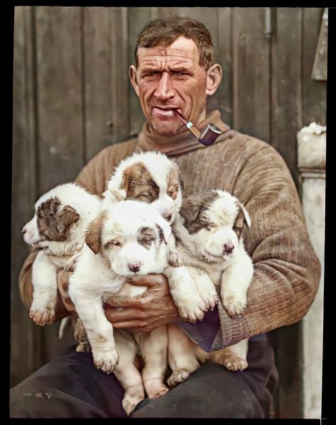 Endurance Ship, Old Ireland, Sailor Aesthetic, Ireland History, Litter Of Puppies, County Galway, Erin Go Bragh, Irish Cottage, Animal Help