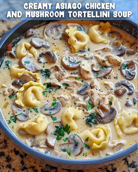 Creamy Asiago Chicken and Mushroom Tortellini Soup: A Hearty Delight Tortellini Mushroom Soup, Mushroom Tortellini Soup, Creamy Asiago Chicken, Gluten Free Tortellini, Mushroom Tortellini, Asiago Chicken, Chicken Tortellini Soup, Meat Casserole, Chicken And Mushroom