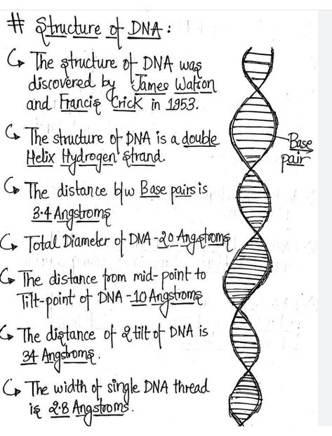 Neet Exam Notes Biology Tricks, Neet Exam Notes, Medical Terminology Study, Biochemistry Notes, Biology Diagrams, Learn Biology, Chemistry Basics, Study Biology, Basic Anatomy And Physiology