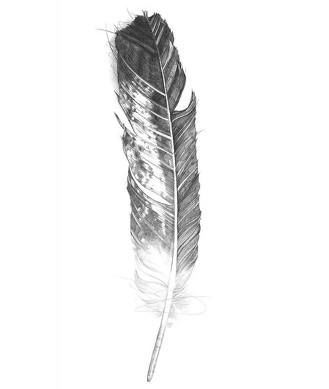 Black and white eagle feather drawing design Bald Eagle Feather Tattoo, Eagle Feather Tattoo Women, Eagle Feather Drawing, Outer Arm Tattoos For Women, Eagle Feather Tattoo, Drawing Of An Eagle, Bleached Clothing, Bald Eagle Feather, Feather Tattoo For Men