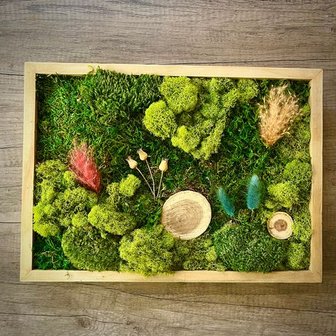 Preserved Moss Wall Art, Moss Wall Decor, Moss Frame, Wall Moss, Wall Hanging, Plant Gift, Moss Gift, Moss Wall Panel, Reindeer Moss by UnprocessedPurpose on Etsy Moss Panel, Preserved Moss Wall Art, Mos Wand, Moss Wall Decor, Preserved Moss Wall, Art With Flowers, Fairy Garden Art, Types Of Moss, Wall Trends