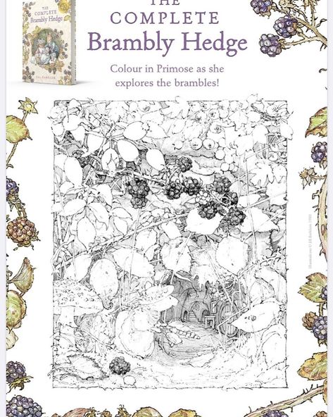 1,204 Likes, 15 Comments - Brambly Hedge (@bramblyhedgeofficial) on Instagram: “Half term is here! We will be adding new activity sheets to our website over the next week, we’ll…” Brambly Hedge, School Resources, Love Bugs, Activity Sheets, Hedges, Next Week, Vintage World Maps, Coloring Pages, The Next