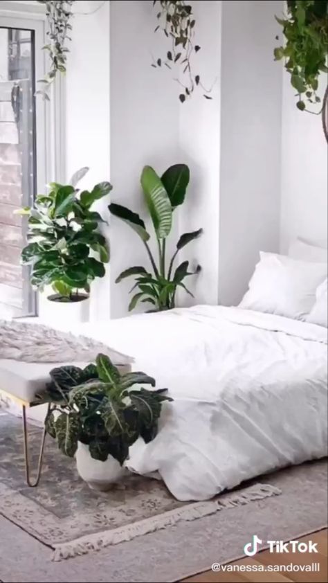 White Room With Plants, Chalets Design, Green Room Ideas Bedroom, Cuarto Aesthetic, African Beach, Jungle Bedroom, Chalet Design, Zen Bedroom, Room Wall Painting