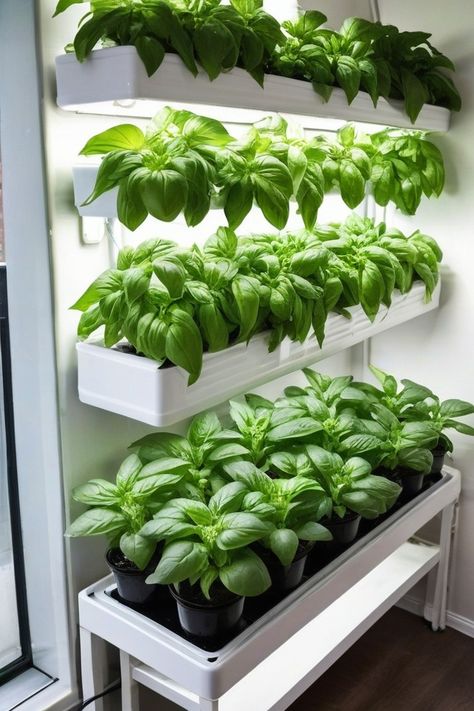 10 Best Hydroponic Plants For Indoor Gardening Hydroponic Gardening Aesthetic, Diy Hydroponic Garden Indoor, Hydroponic Plants Indoor, Hydroponic Gardening For Beginners, Homemade Hydroponics, Hydroponic Gardening Diy, Hydroponic Herb Garden, Indoor Hydroponic Gardening, Hydroponic Vegetables