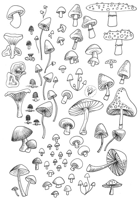 Good Pic Printable Stickers study Thoughts One of several (many) solace of the online is usually printables. Now i am remaining sort of amusing #Good #Pic #Printable #Stickers #study #Thoughts Fall Items Drawing, Mushroom Journal Theme, Autumn Aesthetic Drawing Ideas, Mush Room Drawing, Autumn Doodles Bullet Journal, Mushroom Forest Illustration, Mushroom Tattoo Design Simple, Drawing Autumn Ideas, Mushroom Bullet Journal Theme