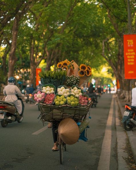 Vietnam Artwork, Street Food Thailand, Scenery Aesthetic, Nothing But Flowers, Animation Art Character Design, Flower Therapy, Photography Landscape, Tumblr Photography, Aesthetic Images