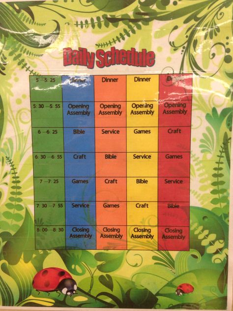 Jungle Safari VBS 2014 daily schedule Vbs Schedule Sample, Science Vbs, Safari Vbs, Toddler Sunday School, Christian Woman Encouragement, Vbs 2023, Natural Play, Fruit Infused Water Bottle, Vbs Ideas