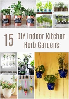 15 DIY Indoor Kitchen Herb Gardens - Growing your own herbs in your kitchen is a great way to easily have fresh herbs at your fingertips all year long. Let this collection of 15 DIY Indoor Kitchen Herb Gardens inspire you to start your own indoor herb garden! Plus find a list of our top 8 herbs that grow well indoors! #CrockPotLadies #DIY #Gardening #Herbs #Crafty Kitchen Herb Gardens, Indoor Herb Garden Diy, Gardening Herbs, Growing Food Indoors, Avocado Dessert, Herb Garden In Kitchen, Indoor Kitchen, Diy Herb Garden, Indoor Herb